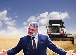 Власти продолжают кошмарить бизнес. Кто выживает «Племенной завод» из Ипатовского района?