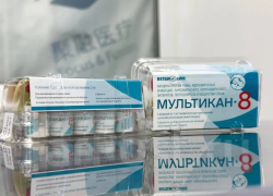 Ветеринарную вакцину «Мультикан-8» серии 20 потребовали изъять и уничтожить на Ставрополье