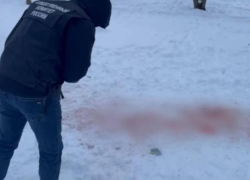 Хозяйку растерзавших 9-летнюю девочку собак задержали в Ставрополе