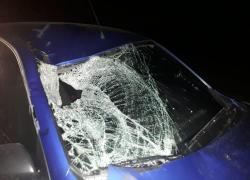 На Ставрополье в ДТП погиб пешеход 