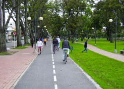 В Ставрополе создадут сеть велодорожек и велопарков