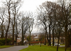 На Ставрополье парень соблазнил 15-летнюю школьницу