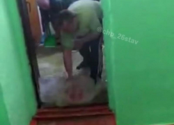 Причиной потопа в одной из многоэтажек Ставрополя стал голубь