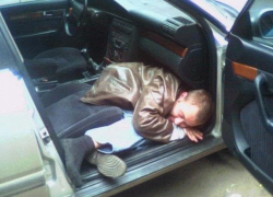 Комичный угонщик трижды пытался завести чужую машину, пока его не поймала полицейская собака на Ставрополье