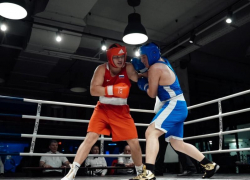 Триумфы на домашнем ринге: ставропольские боксеры отличились в станице Суворовской 