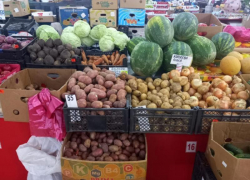 Вечно дорожающие на Ставрополье огурцы снизились в стоимости: о ценах на продукты рассказали аналитики 