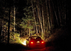 Знакомый из соцсетей на первой встрече ограбил девушку и бросил связанной за городом на Ставрополье 