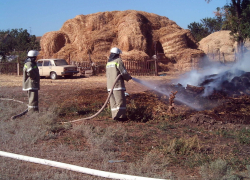 В Курском районе от пожара спасли поросят