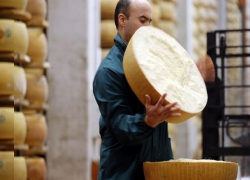 Новый молочный завод за 500 миллионов построят в Железноводске 