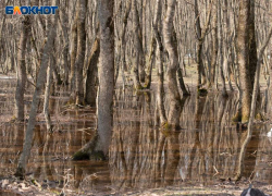 Штормовое предупреждение о затоплениях и граде продлили на Ставрополье еще на 3 дня 