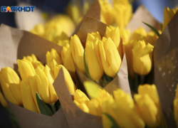 Дарите женщинам цветы? Власти Ставрополя потратят 2 миллиона на букеты