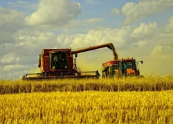 На Ставрополье завершен сбор урожая