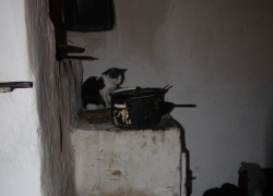 Семья из пяти человек едва не осталась без дома