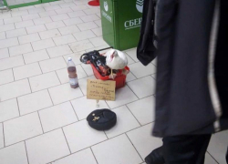 Белоснежная утка просила милостыню в ставропольском магазине 