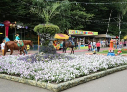 По ставропольскому парку Победы пробежался голый мужчина