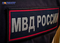 Выдумали сына и монету на миллион долларов: банда обвела ставропольского бизнесмена вокруг пальца на 38 миллионов