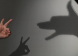 Несколько домов остались без света 30 мая в Ставрополе: список адресов