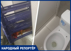 Жителей Ессентуков возмутила лежащая в общественном туалете чурчхела