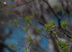 Ставрополье затопит сильными дождями после майских праздников 