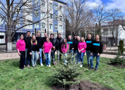 Экоподарок для ставропольцев: Т2 высадила в центре города аллею из голубых елей