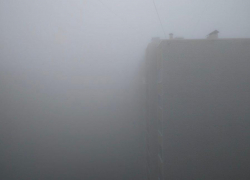 Туман и заморозки разбудят жителей Ставрополья 6 февраля 