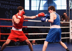 Ставрополец победил на всероссийском турнире по боксу