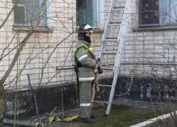 Девочка вскарабкалась на дерево и не смогла оттуда слезть
