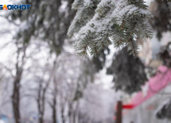 Морось, туман и гололед посетят Ставрополье 20 декабря