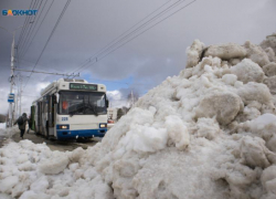В РТК Ставрополья объяснили, что значит максимальный тариф в троллейбусах 