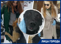 «Главное – не навредить»: ставропольские сестры-зоозащитницы о помощи бездомным животным