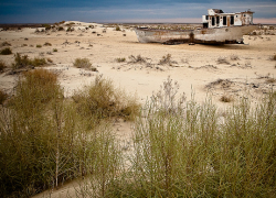 Экологическая катастрофа угрожает району Ставрополья из-за остатков химического склада