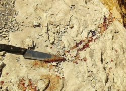 На Ставрополье поймали преступника, 7 лет находящегося в федеральном розыске