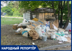 «Вокруг просто ужас»: жительница Ставрополя шокирована огромной кучей мусора рядом с баками