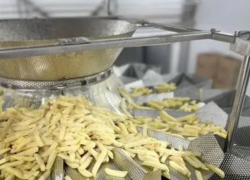 Завод картошки фри в Ставрополе продают за 265 миллионов рублей