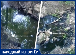 Нефтяная как мазут вода у Татарского городища шокировала ставропольца