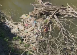 Заваленную хламом реку Куму в Минеральных Водах показали пользователи соцсетей