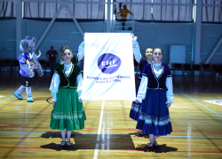 Кубковый почин «Виктора»: мужской «финал четырех» по гандболу может состояться на Ставрополье