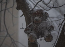 Погода в Ставропольском крае 27 января 2026: грядут аномальные морозы до -20 и штормовой ветер