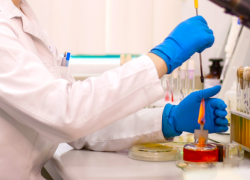 Остатки ветеринарного препарата нашли в колбасе на Ставрополье