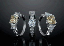 На КМВ задержана предполагаемая воровка ювелирных изделий