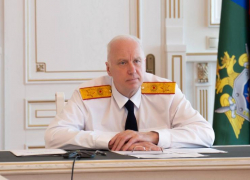 Александр Бастрыкин взял на контроль уголовное дело о нападении собак на подростка на Ставрополье