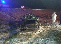 26-летний водитель «Форд-Фокуса» сбил корову и получил серьезные травмы на Ставрополье