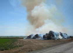 На Ставрополье задержали поджигателя годового запаса сена