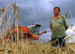 Ставропольские фермеры смогут получить до 30 миллионов рублей в качестве грантов