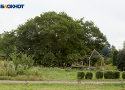 Летняя жара до +38 градусов ожидается на Ставрополье 27 июля