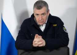 ЛДПР предложила лишать гражданства тех, кто получил паспорт ради льгот и жилья