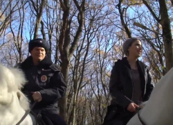 "Поскакали": как проходят будни конной полиции в Ставрополе