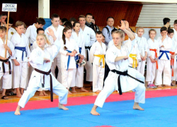 Ставропольские каратисты взяли золотые медали на открытом первенстве Кубани