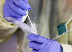 На Ставрополье еще 85 человек заразились коронавирусом