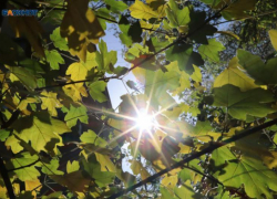 Штормовое предупреждение из-за жары до +40 градусов объявили на Ставрополье